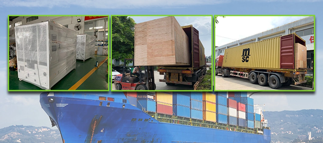 Máy đóng gói hộp carton tự động Chăm sóc da Sản phẩm sức khỏe Túi ngũ cốc 7