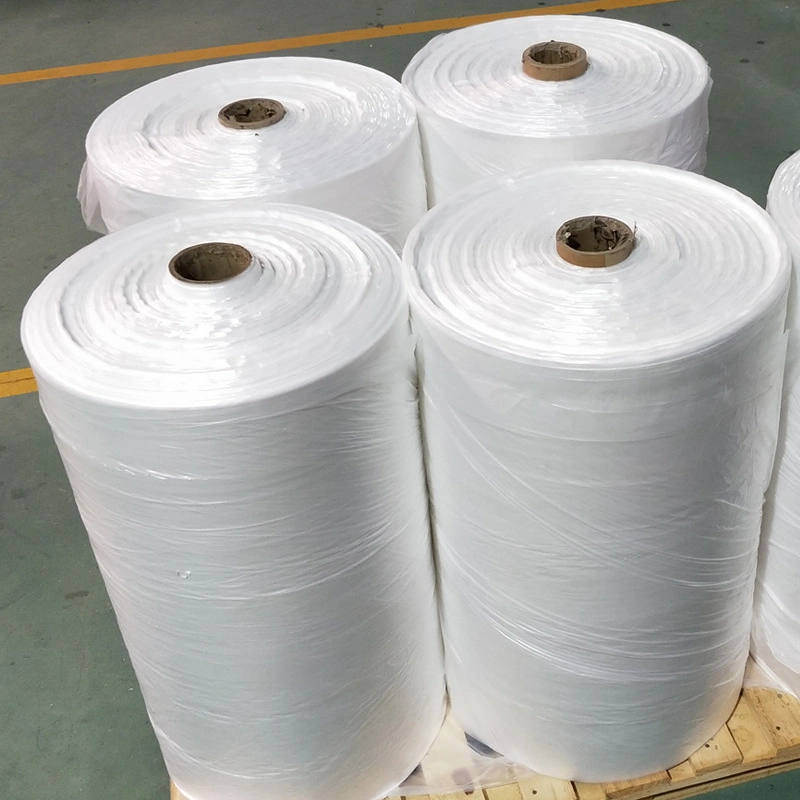 Máy làm túi nhựa có thể phân hủy nhựa Bao bì thổi màng 2