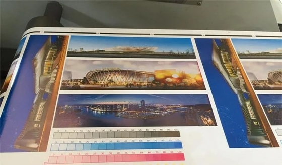 Biên nhận chuyển phát nhanh Máy in nhãn Flexo 4 5 6 Màu