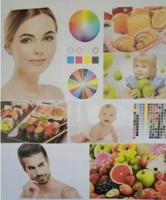 Máy in Flexographic 2 màu cho màng nhựa, giấy, lá nhôm, vải không dệt và cuộn giấy