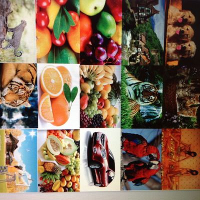 Máy in Flexo nhỏ tự động Nhãn phủ PE Giấy cuộn Cuộn phim # 4 Máy in nhãn Flexo màu với Max. mạng