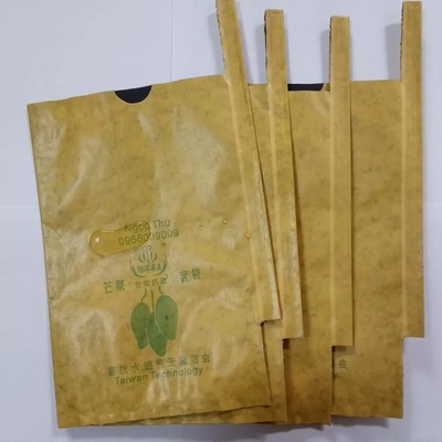 Máy làm túi giấy Kraft trái xoài 3KW tự động