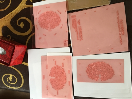 Bảng nhựa in Flexo độ phân giải cao Hình ảnh Tấm kỹ thuật số Shimei